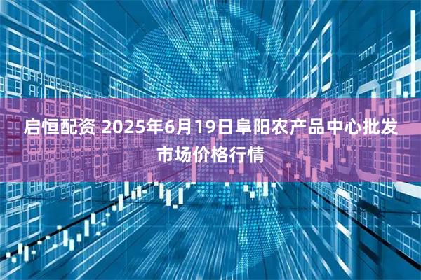 启恒配资 2025年6月19日阜阳农产品中心批发市场价格行情